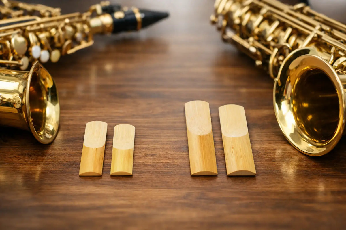 Alto Sax Reeds vs Tenor Reeds