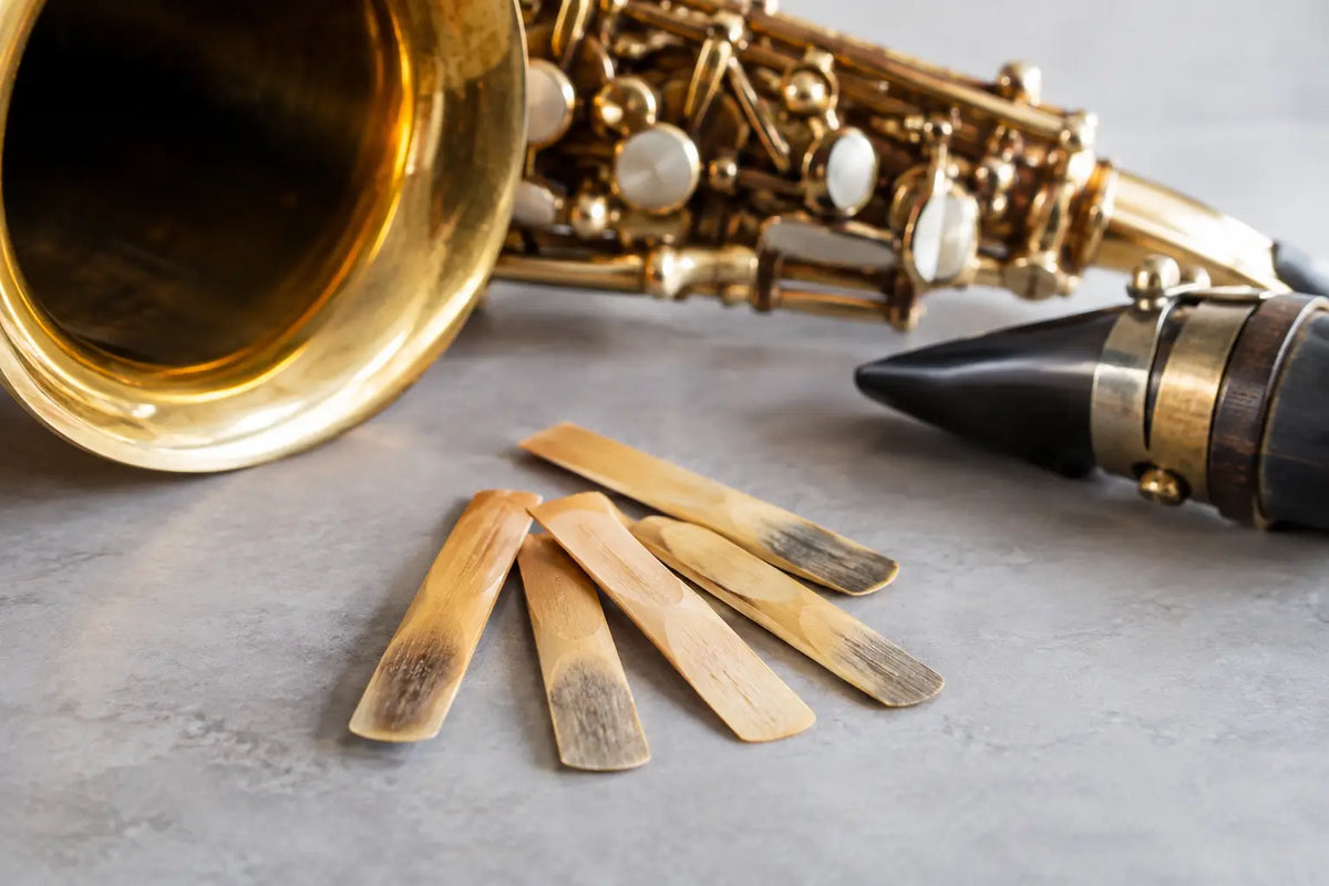 Why Do Sax Reeds Wear Out Fast? 7 Common Causes