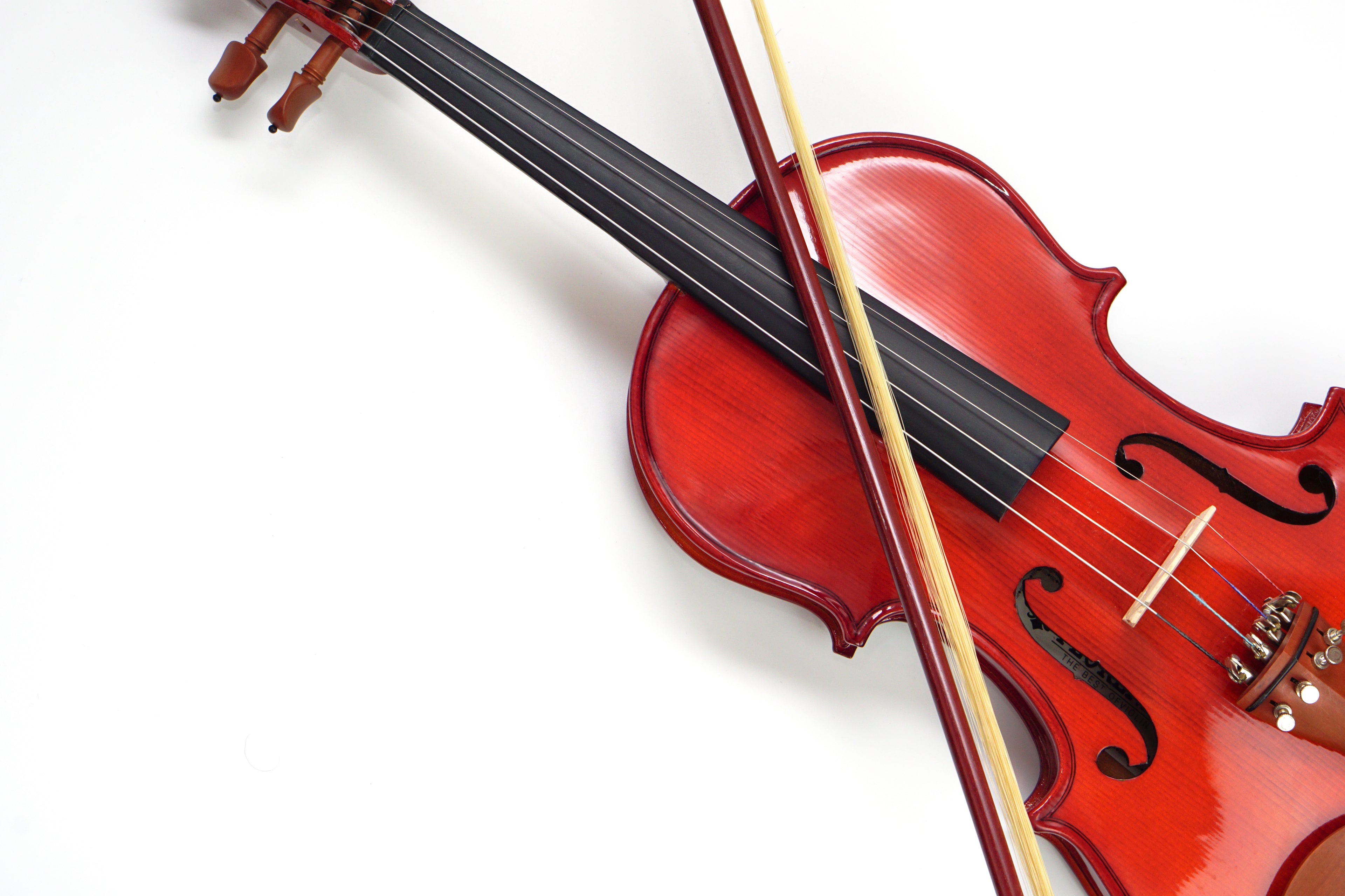 Violin
