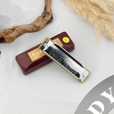 Ten hole blues harmonica