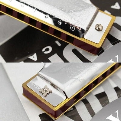 Ten hole blues harmonica