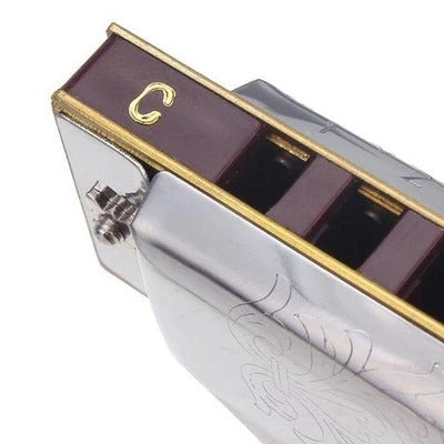 Ten hole blues harmonica